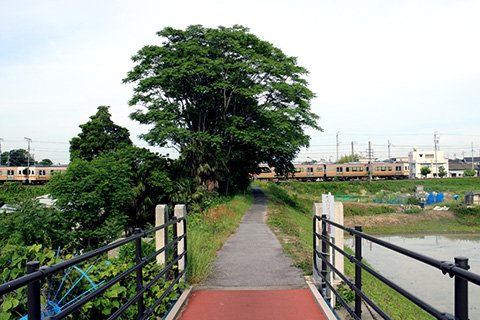 バス専用道跡をまたぐ陸橋のたもとに見えるのは1927年（昭和2年）に造られた秋葉神社ののぼり立て