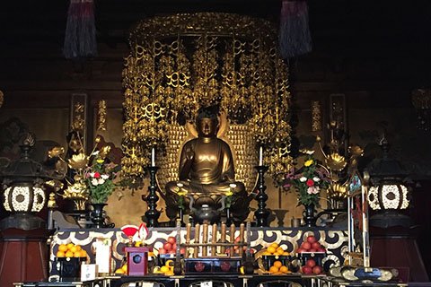 本堂の木造阿弥陀如来坐像。光背に千仏を宿すところから、別名「一光千体仏」と呼ばれています